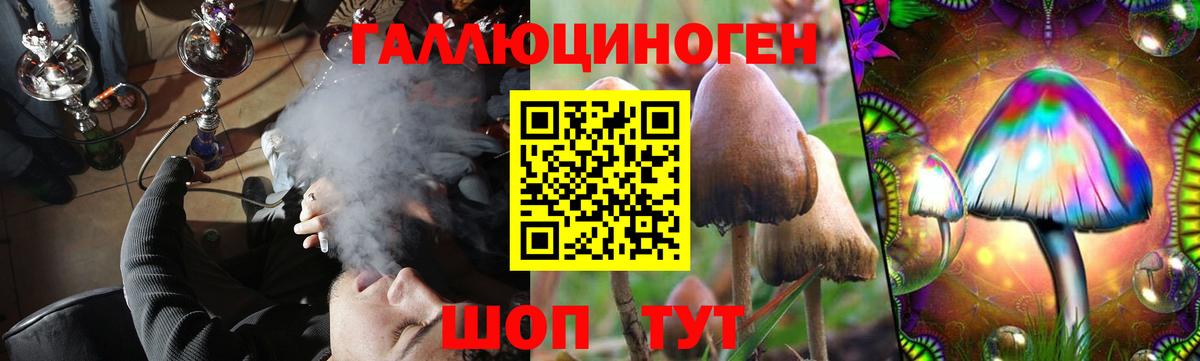 Псилоцибиновые грибы мицелий Чебоксары